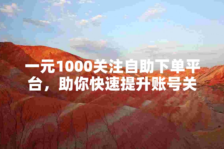 一元1000关注自助下单平台，助你快速提升账号关注度。