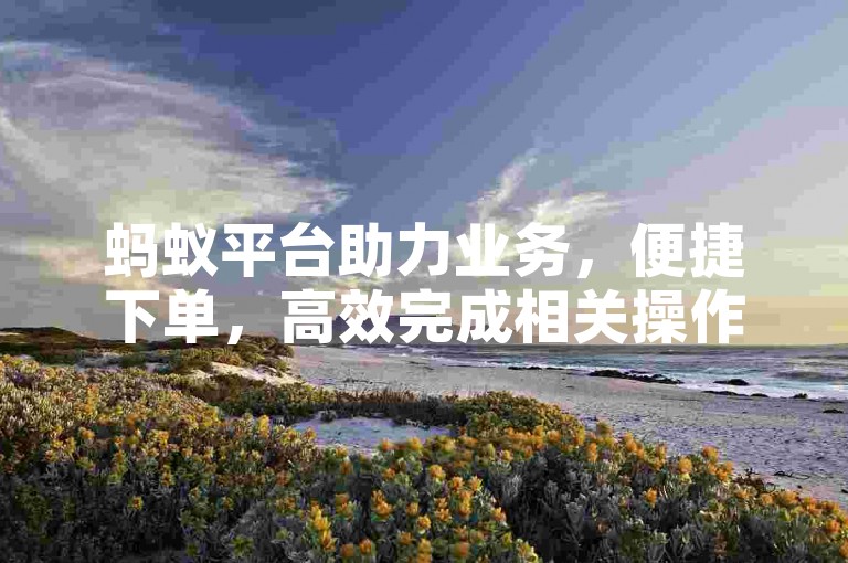 蚂蚁平台助力业务，便捷下单，高效完成相关操作。