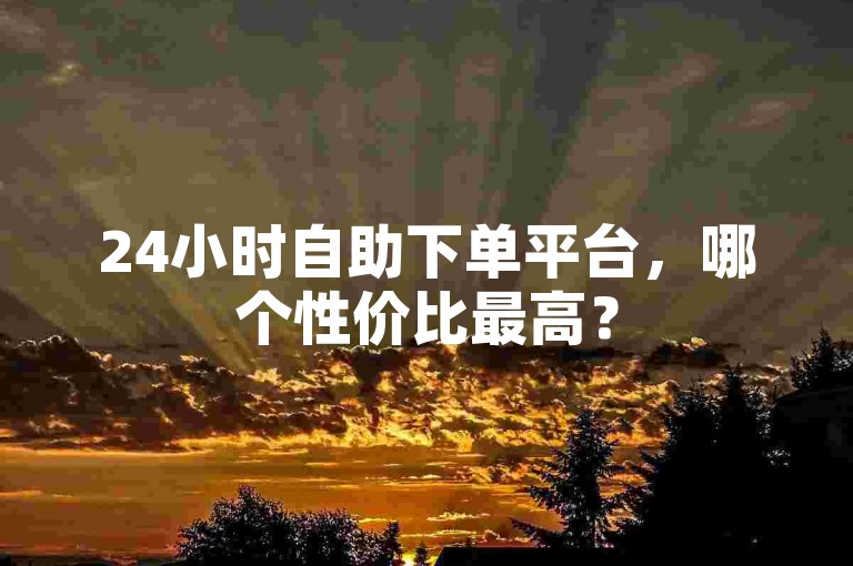 24小时自助下单平台，哪个性价比最高？