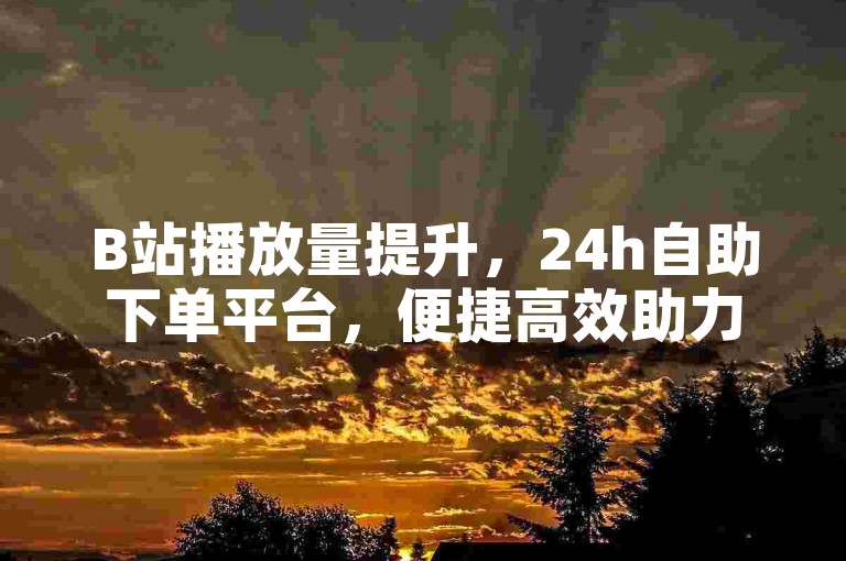 B站播放量提升，24h自助下单平台，便捷高效助力创作。