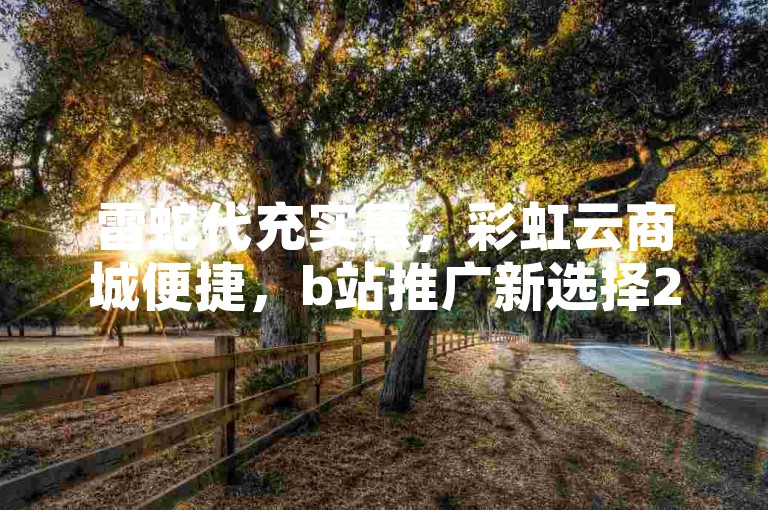 雷蛇代充实惠，彩虹云商城便捷，b站推广新选择2024