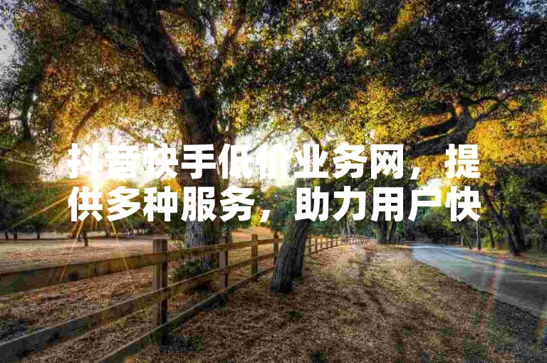 抖音快手低价业务网，提供多种服务，助力用户快速提升人气。