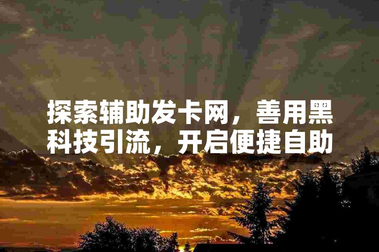 探索辅助发卡网，善用黑科技引流，开启便捷自助下单新体验。