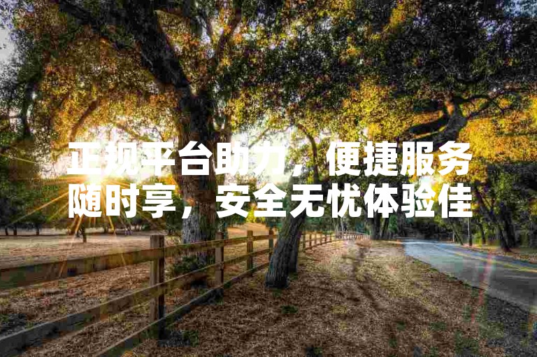 正规平台助力，便捷服务随时享，安全无忧体验佳。