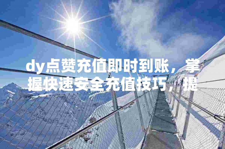 dy点赞充值即时到账，掌握快速安全充值技巧，提升使用体验。