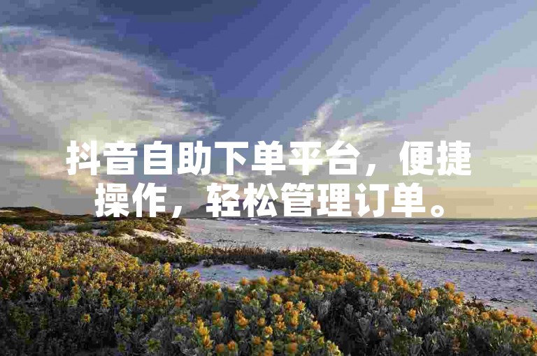 抖音自助下单平台，便捷操作，轻松管理订单。