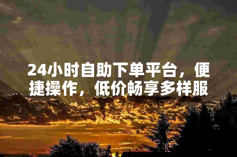 24小时自助下单平台，便捷操作，低价畅享多样服务。