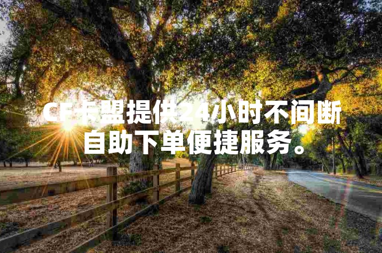 CF卡盟提供24小时不间断自助下单便捷服务。