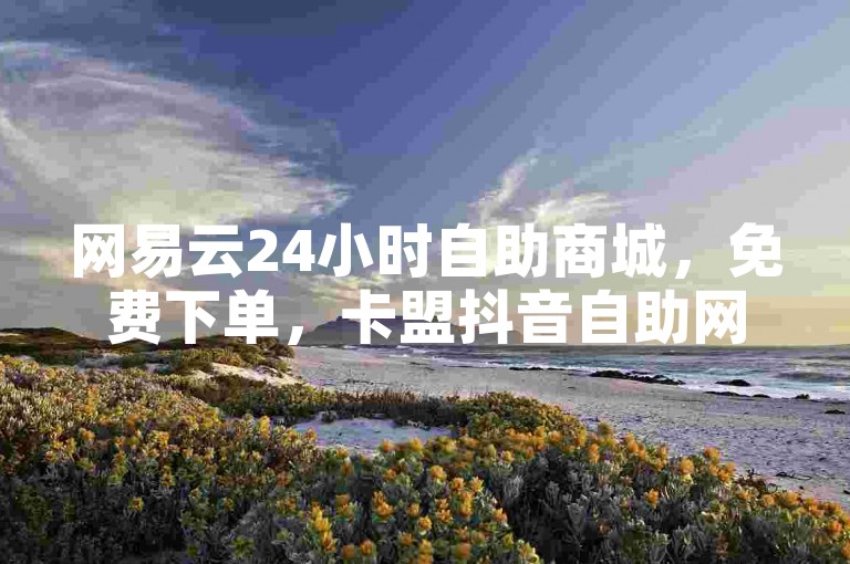 网易云24小时自助商城，免费下单，卡盟抖音自助网站便捷。