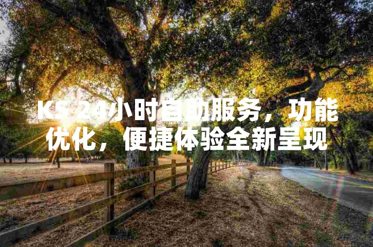 KS 24小时自助服务，功能优化，便捷体验全新呈现。