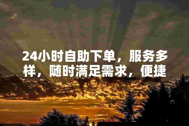 24小时自助下单，服务多样，随时满足需求，便捷高效。