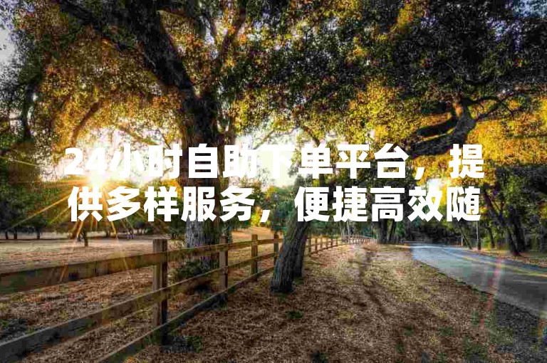 24小时自助下单平台，提供多样服务，便捷高效随时可用。