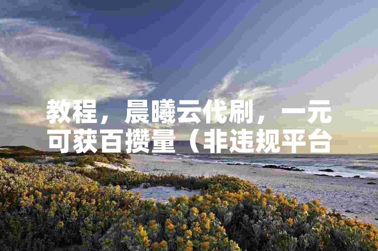 教程，晨曦云代刷，一元可获百攒量（非违规平台操作）。
