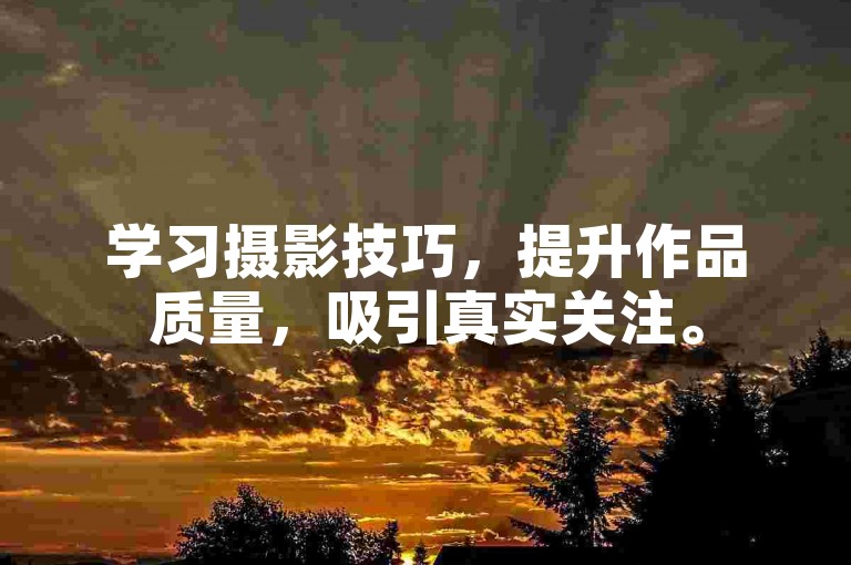 学习摄影技巧，提升作品质量，吸引真实关注。