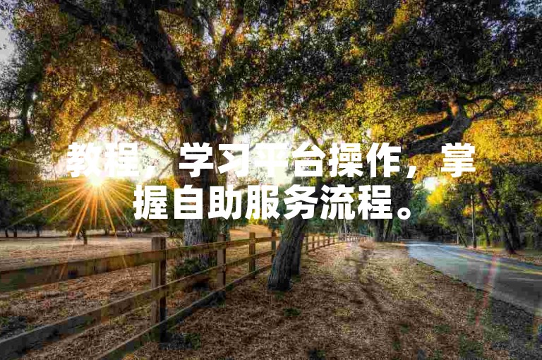 教程，学习平台操作，掌握自助服务流程。