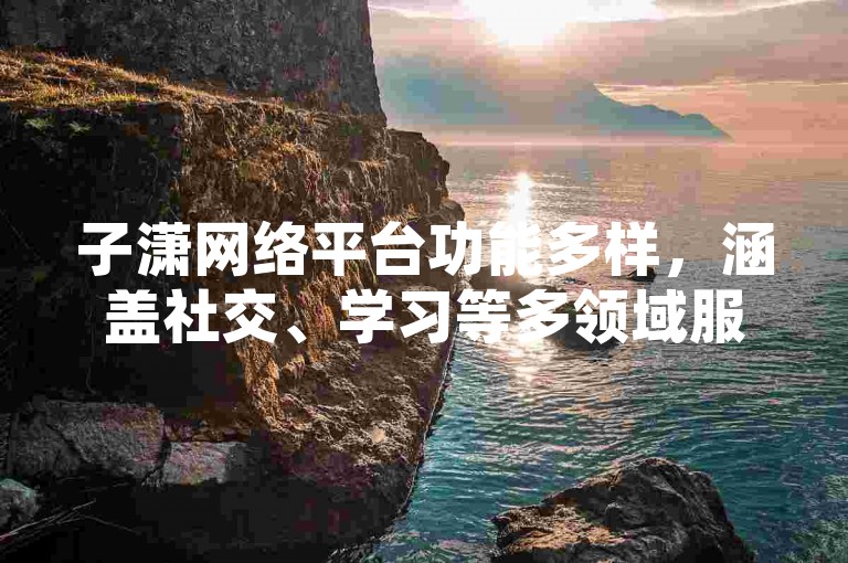 子潇网络平台功能多样，涵盖社交、学习等多领域服务。