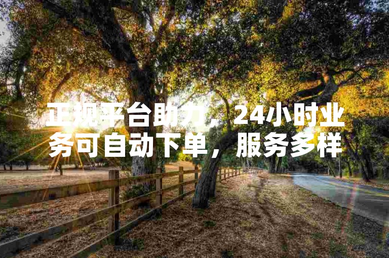 正规平台助力，24小时业务可自动下单，服务多样便捷。