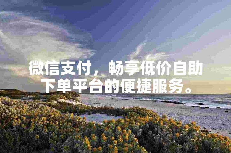 微信支付，畅享低价自助下单平台的便捷服务。