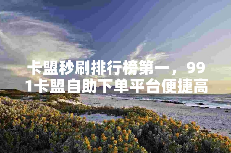 卡盟秒刷排行榜第一，991卡盟自助下单平台便捷高效。