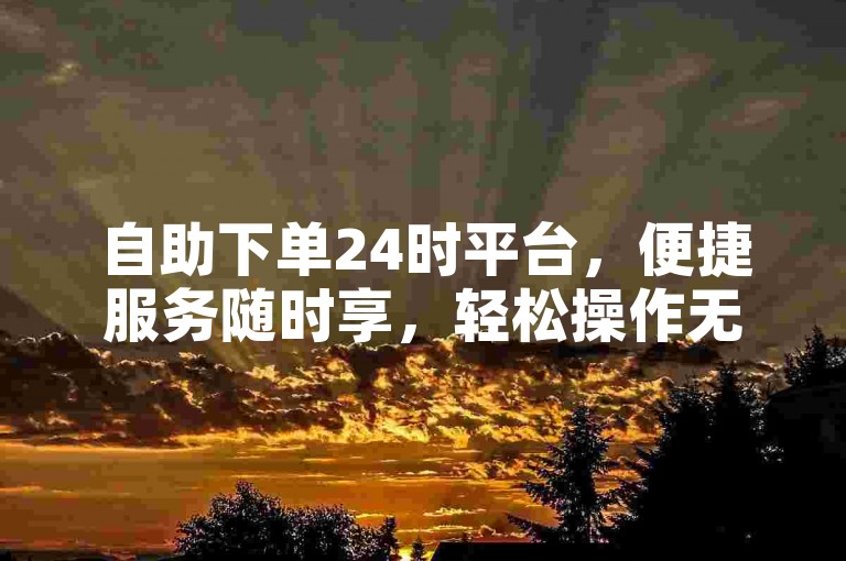 自助下单24时平台，便捷服务随时享，轻松操作无忧虑。