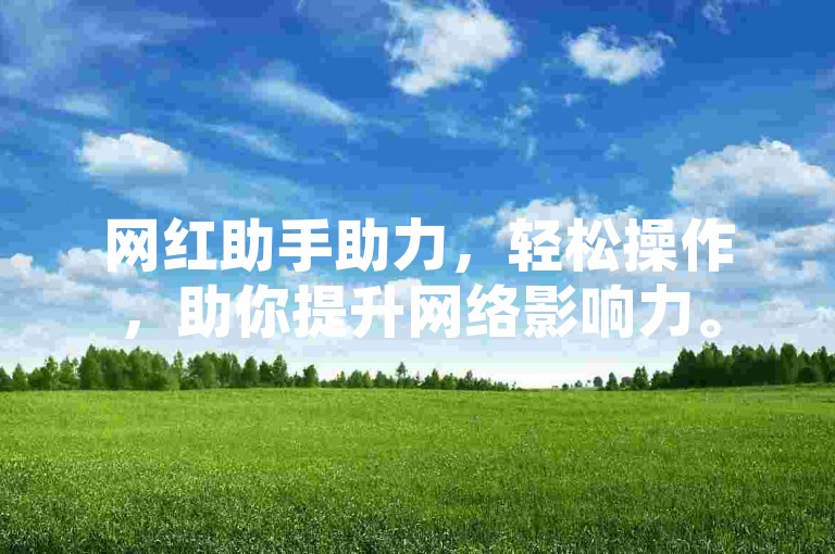 网红助手助力，轻松操作，助你提升网络影响力。