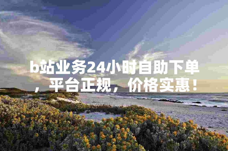 b站业务24小时自助下单，平台正规，价格实惠！