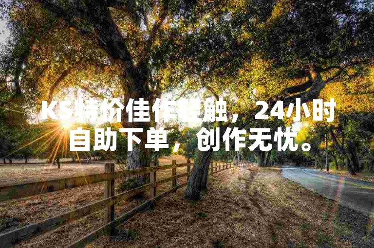 KS特价佳作轻触，24小时自助下单，创作无忧。