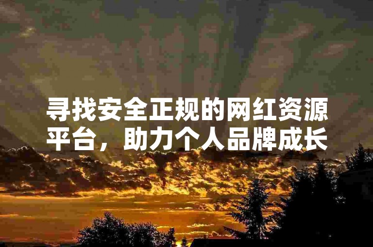 寻找安全正规的网红资源平台，助力个人品牌成长。