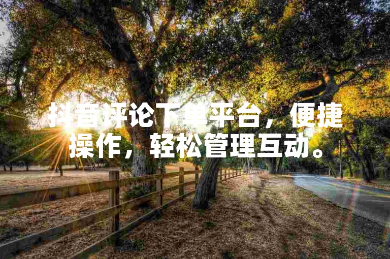 抖音评论下单平台，便捷操作，轻松管理互动。