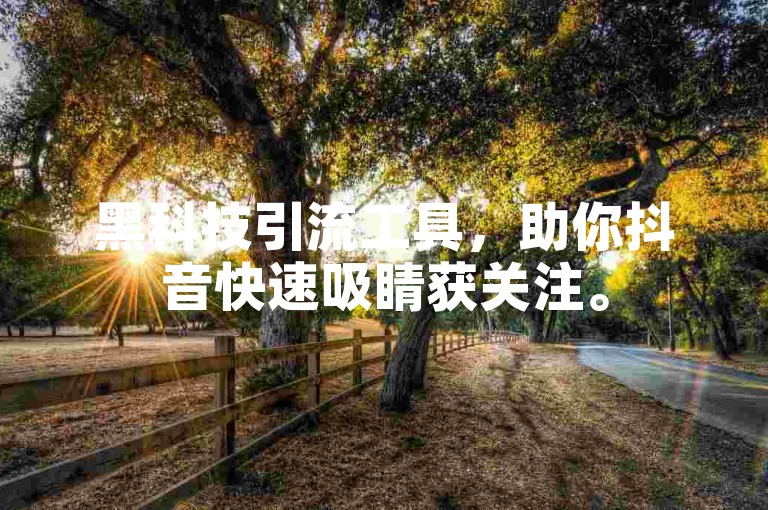 黑科技引流工具，助你抖音快速吸睛获关注。
