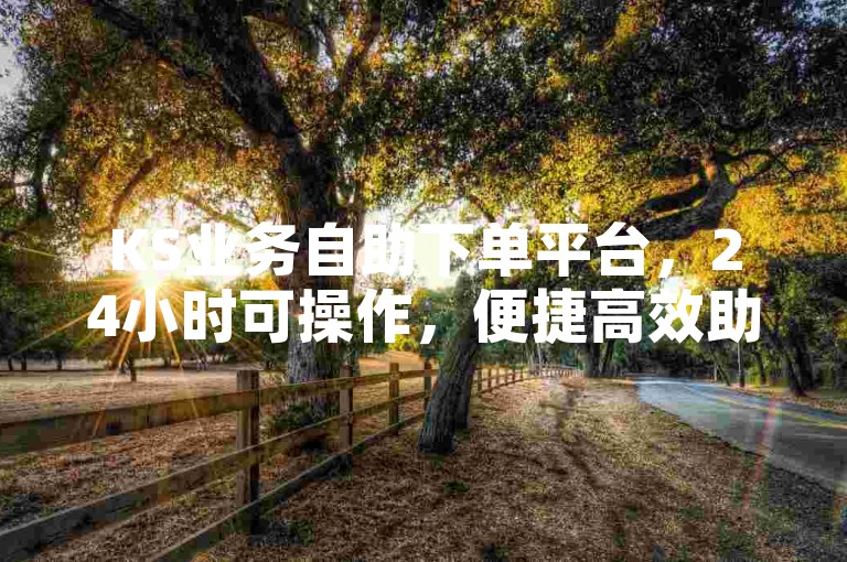 KS业务自助下单平台，24小时可操作，便捷高效助你达成需求。