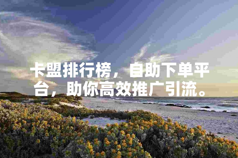卡盟排行榜，自助下单平台，助你高效推广引流。