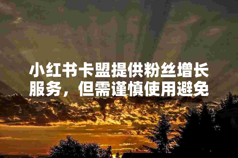 小红书卡盟提供粉丝增长服务，但需谨慎使用避免违规。