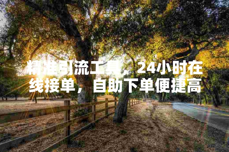 精准引流工具，24小时在线接单，自助下单便捷高效。