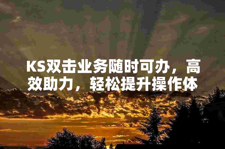 KS双击业务随时可办，高效助力，轻松提升操作体验。