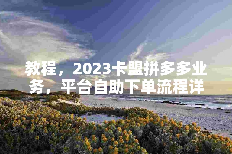 教程，2023卡盟拼多多业务，平台自助下单流程详解。