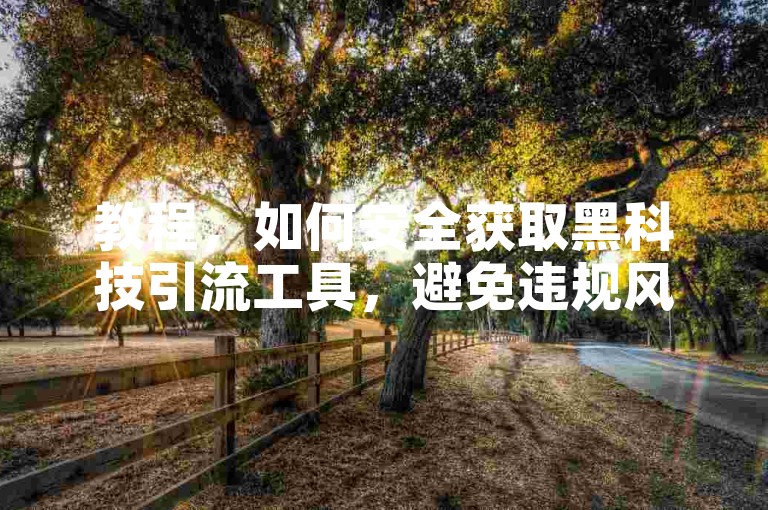 教程，如何安全获取黑科技引流工具，避免违规风险？