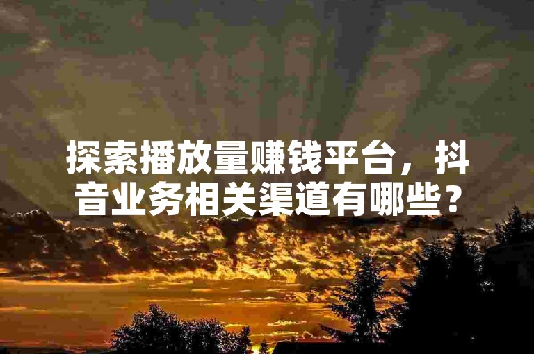 探索播放量赚钱平台，抖音业务相关渠道有哪些？