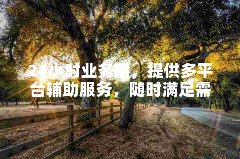 24小时业务网，提供多平台辅助服务，随时满足需求。