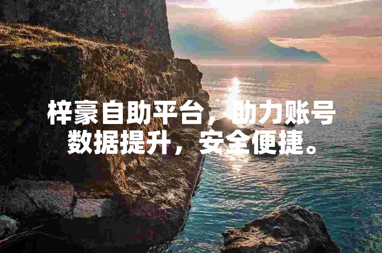 梓豪自助平台，助力账号数据提升，安全便捷。