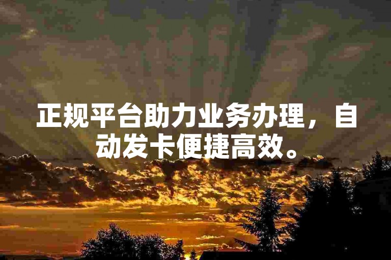 正规平台助力业务办理，自动发卡便捷高效。