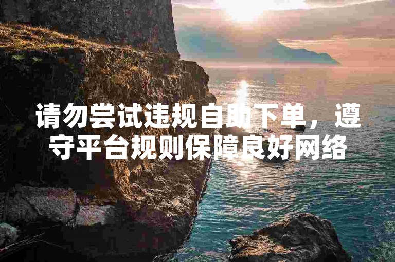 请勿尝试违规自助下单，遵守平台规则保障良好网络环境。