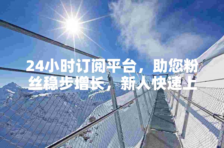 24小时订阅平台，助您粉丝稳步增长，新人快速上手！