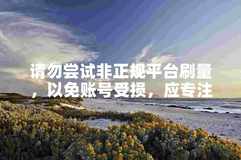 请勿尝试非正规平台刷量，以免账号受损，应专注优质内容创作。