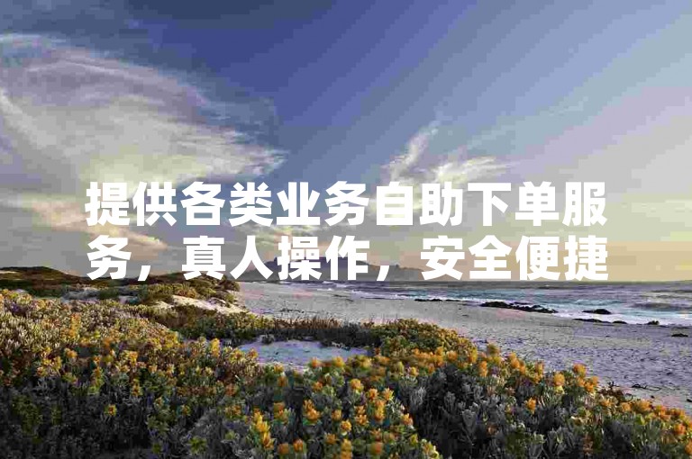 提供各类业务自助下单服务，真人操作，安全便捷。