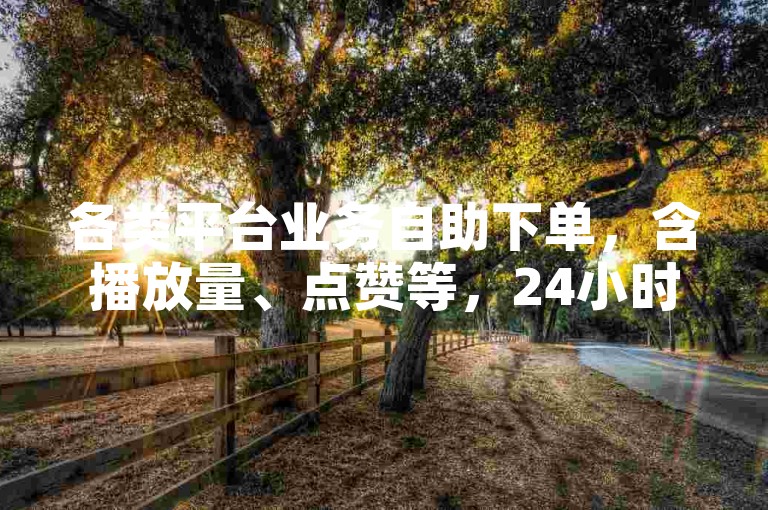各类平台业务自助下单，含播放量、点赞等，24小时可操作。