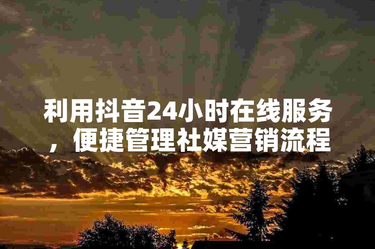 利用抖音24小时在线服务，便捷管理社媒营销流程。
