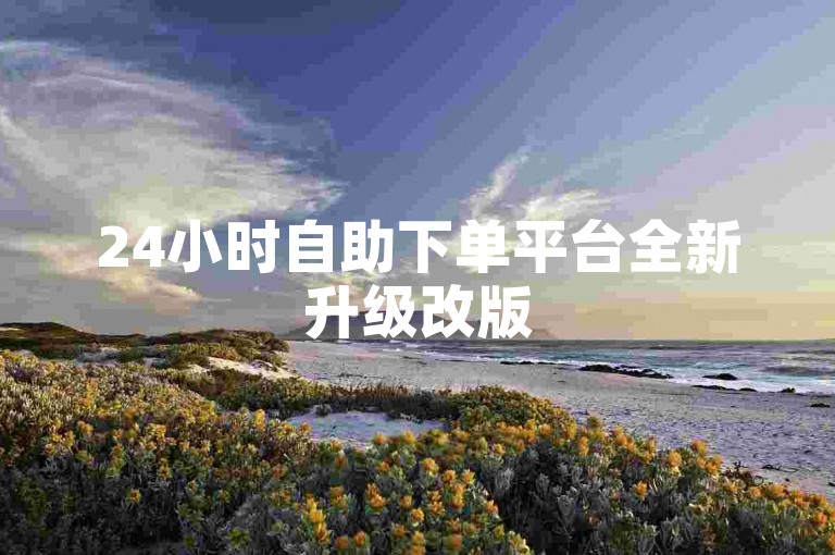 24小时自助下单平台全新升级改版