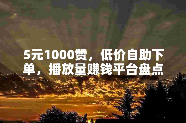 5元1000赞，低价自助下单，播放量赚钱平台盘点。