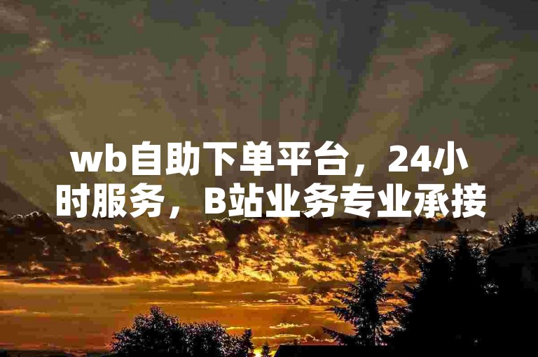 wb自助下单平台，24小时服务，B站业务专业承接。